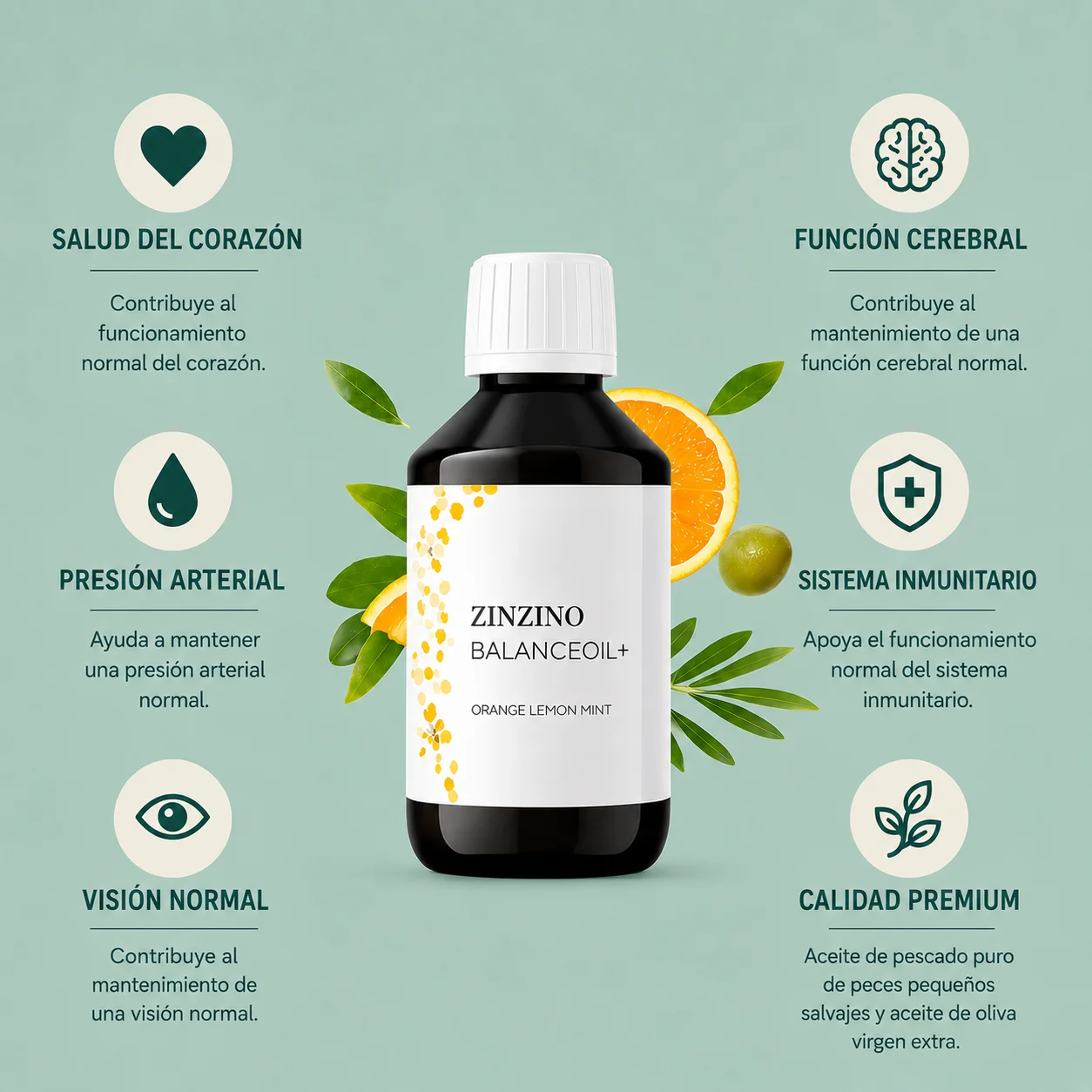 Infografía de BalanceOil+ de Zinzino con las declaraciones autorizadas en la UE: corazón, función cerebral, visión, presión arterial y sistema inmunitario
