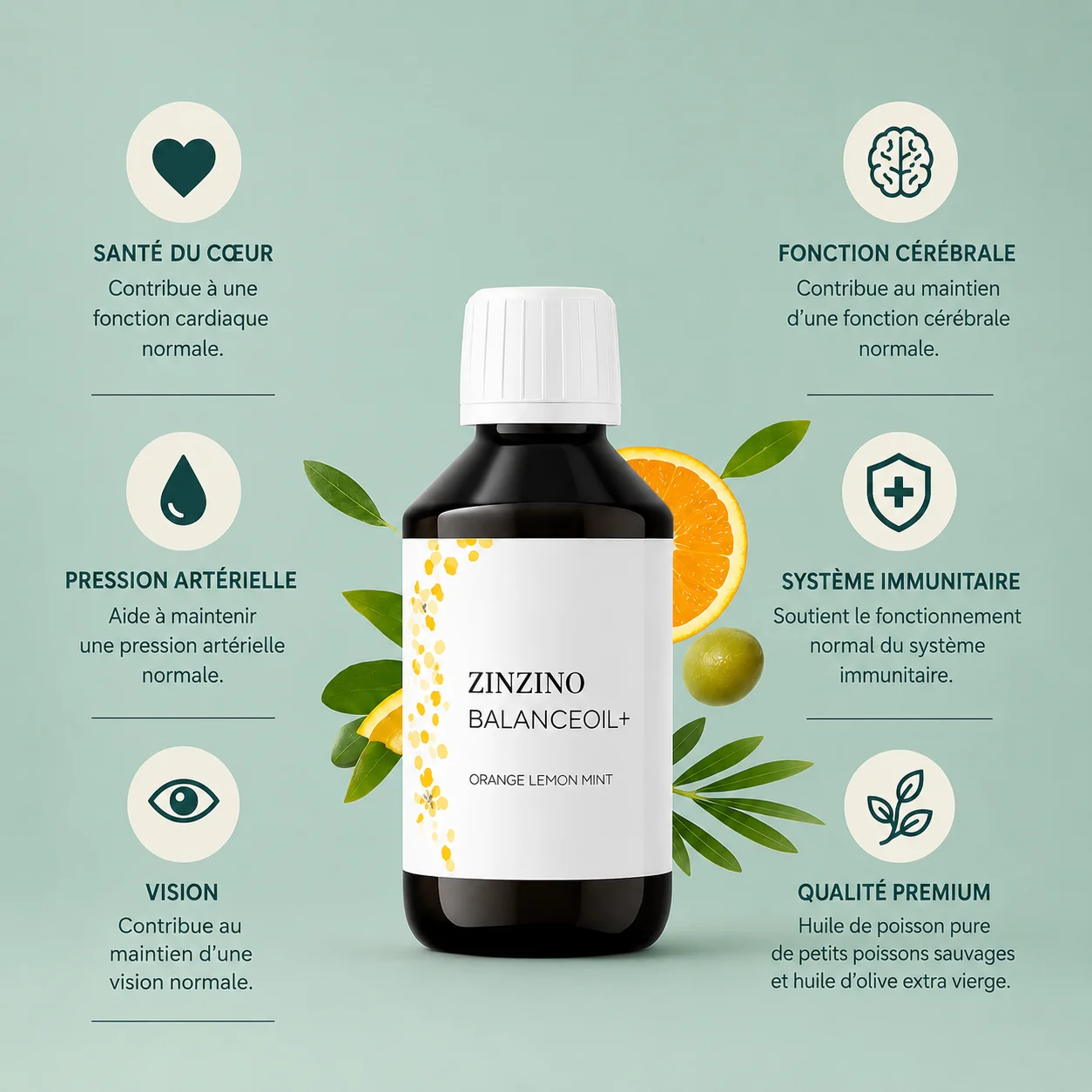 Infographie de BalanceOil+ de Zinzino avec les allégations autorisées dans l'UE : cœur, fonction cérébrale, vision, pression artérielle et système immunitaire