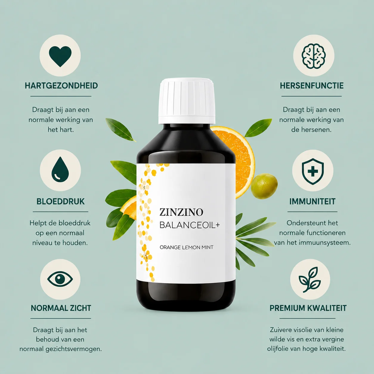 Infographic van Zinzino BalanceOil+ met de in de EU toegelaten claims: hart, hersenfunctie, zicht, bloeddruk en immuunsysteem