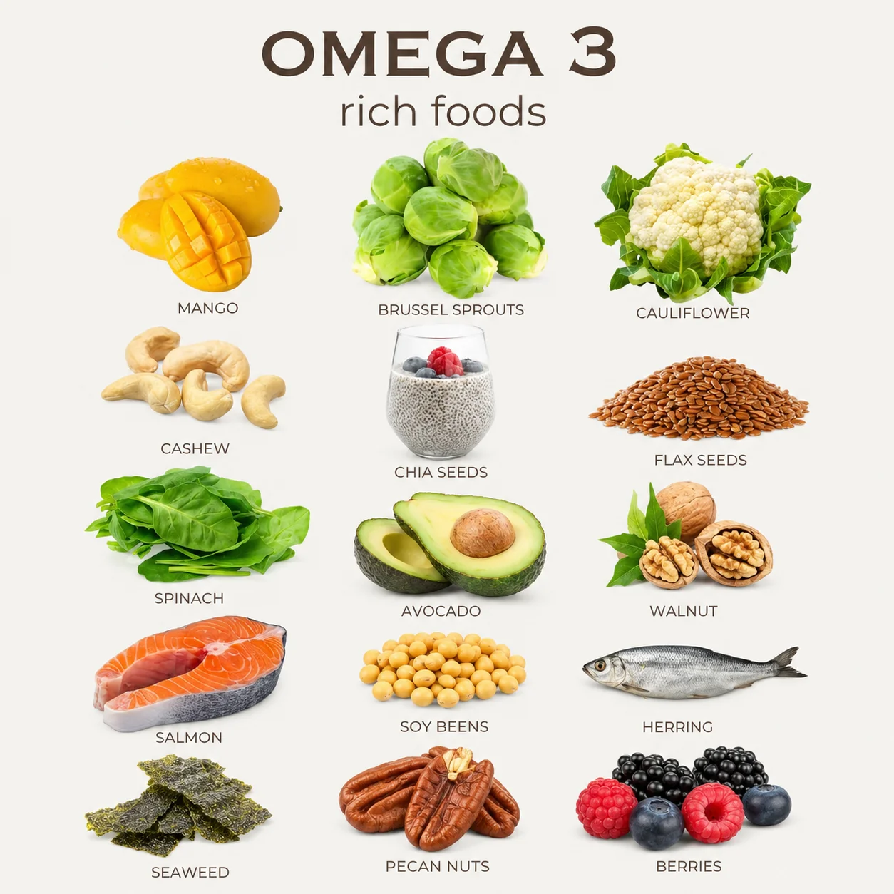 Infographic of omega 3 rich foods: salmon, herring, chia and flax seeds, walnuts, avocado, spinach, soy beans and seaweed