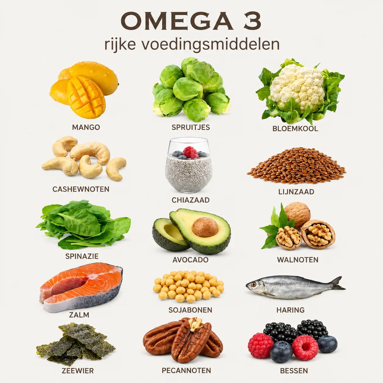 Infographic van voeding rijk aan omega 3: zalm, haring, chiazaad en lijnzaad, walnoten, avocado, spinazie, sojabonen en zeewier